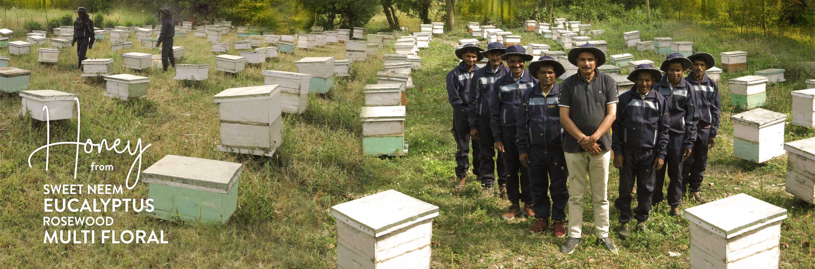 JGS Beekeeping