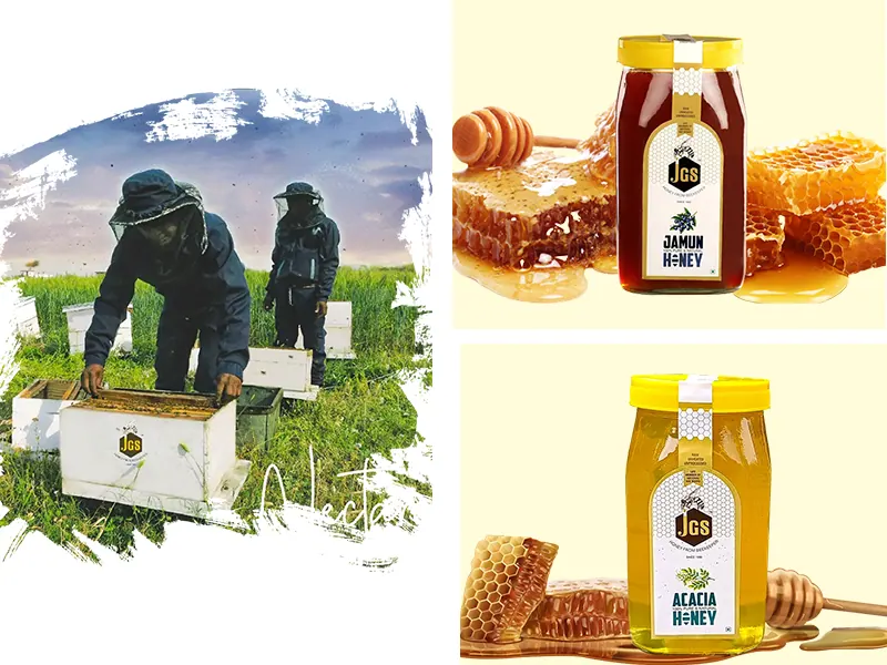 A JGS beekeeper in the field alongside the Acacia and Jamun honey collection