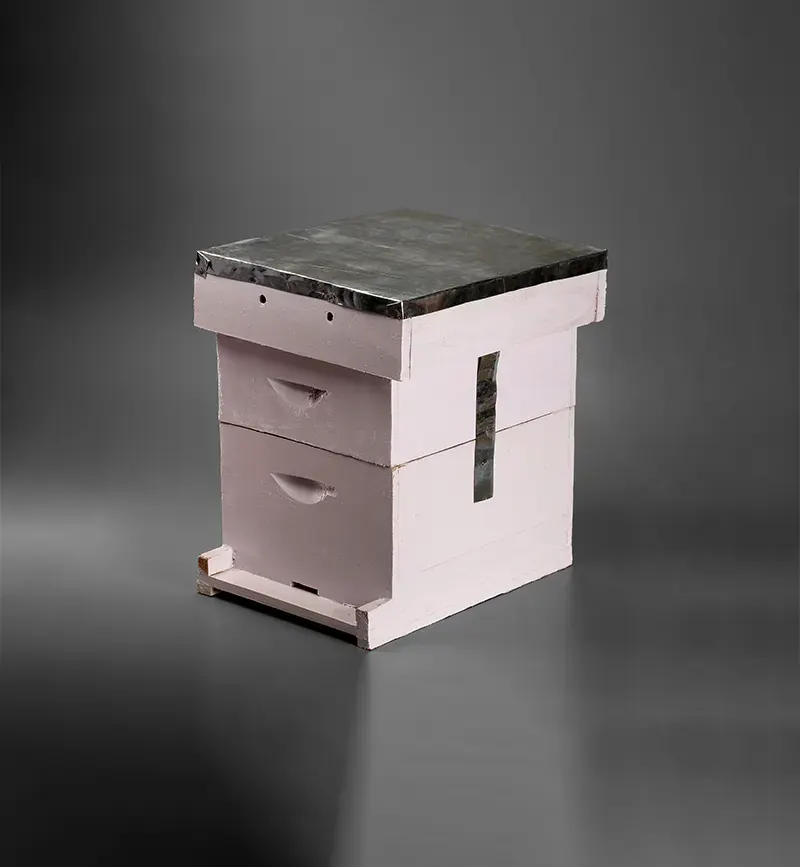 Bee Hive (Apis Cerana Indica) with Super