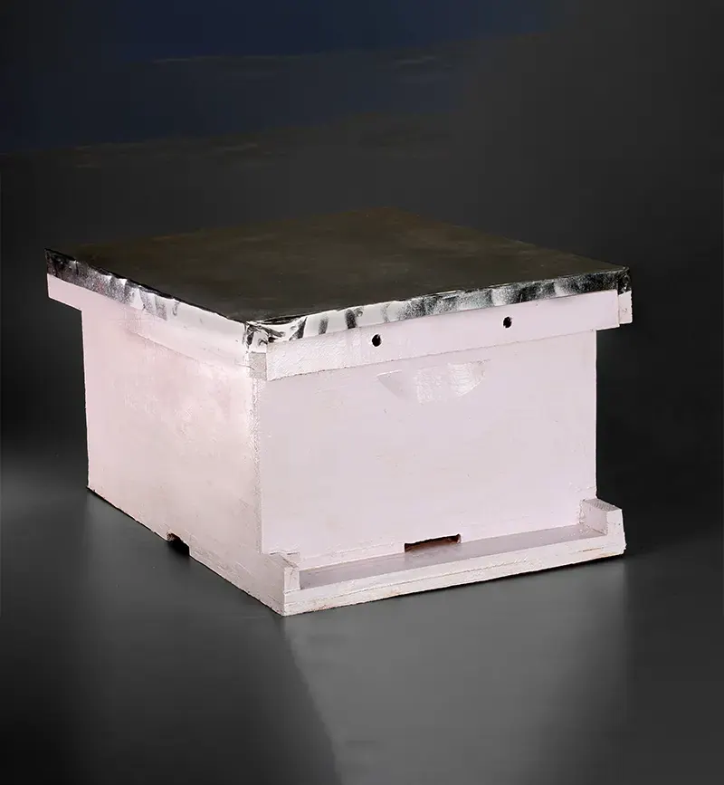 Bee Hive (Apis Mellifera)