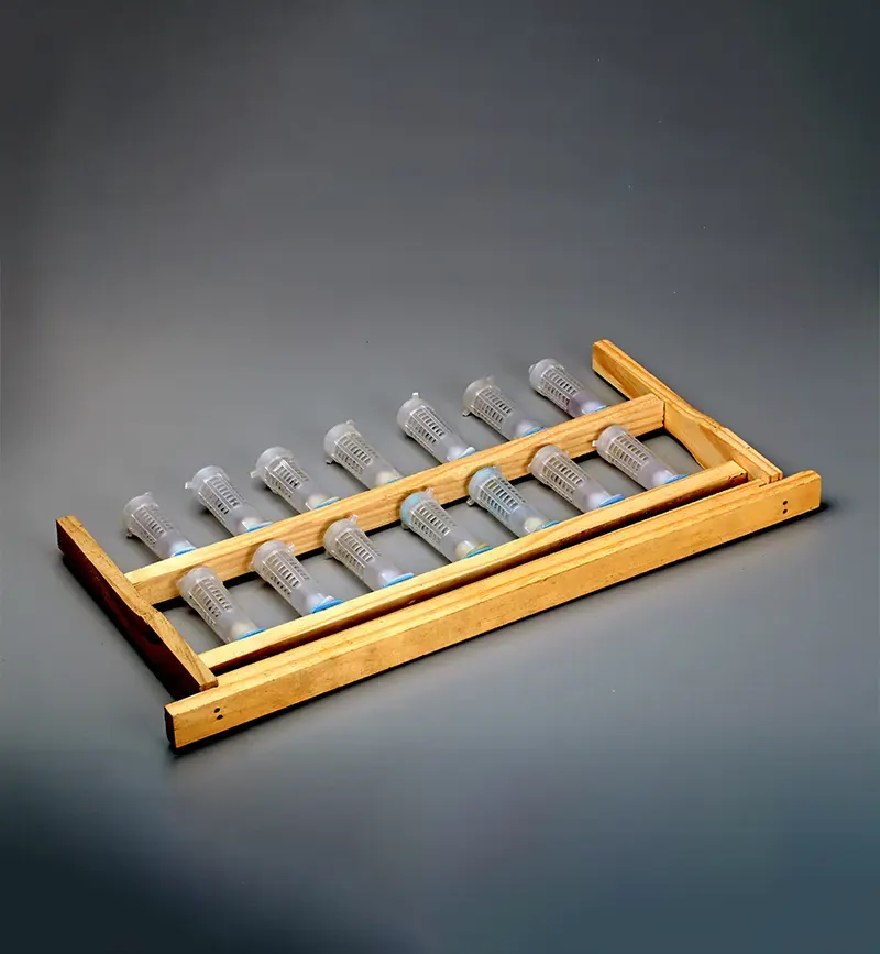 Queen Rearing Frame (Set of 16 Cells)