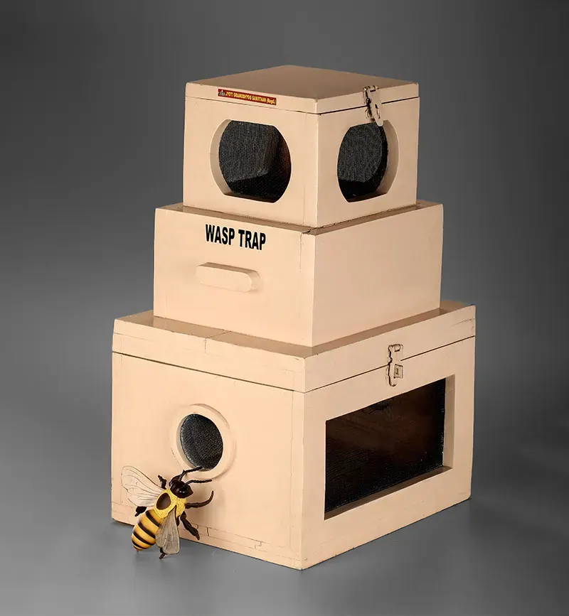 Wasp trap