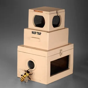 Wasp trap